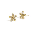 OORBELLEN - GOLDEN FLOWER